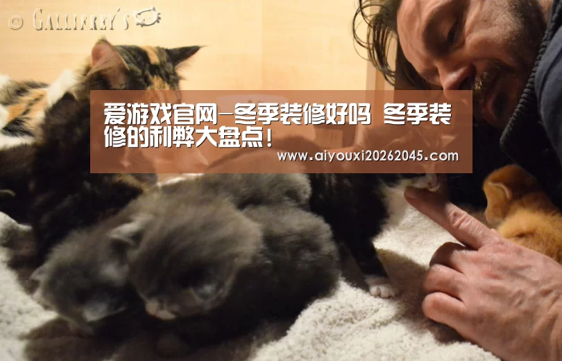 爱游戏官网-冬季装修好吗 冬季装修的利弊大盘点!(图4) 爱游戏竞猜