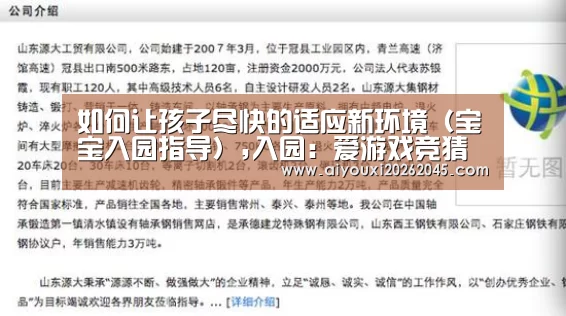 爱游戏官网