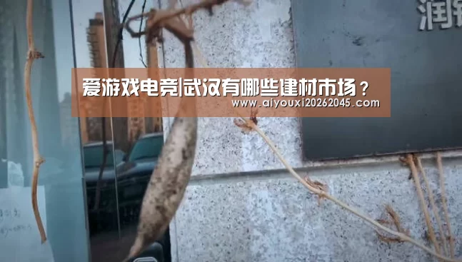 爱游戏电竞|武汉有哪些建材市场?(图1) 爱游戏登录
