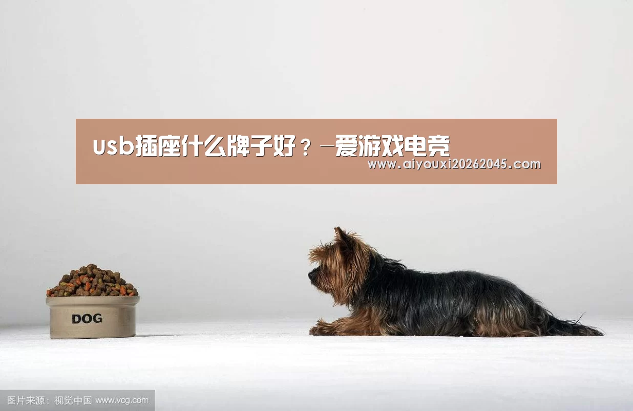 usb插座什么牌子好?-爱游戏电竞(图2) 爱游戏竞猜