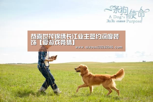 爱游戏电竞