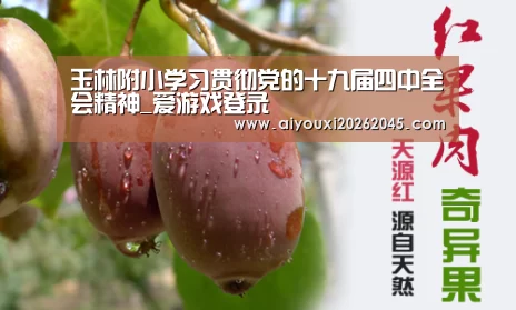 玉林附小学习贯彻党的十九届四中全会精神_爱游戏登录(图1) 爱游戏登录