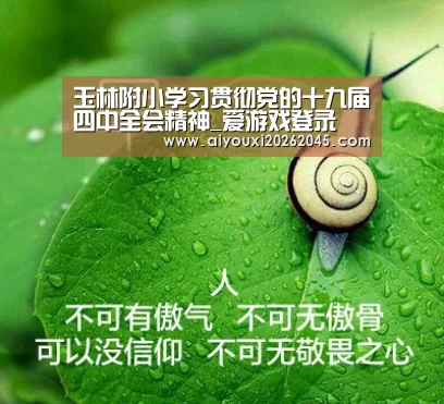 玉林附小学习贯彻党的十九届四中全会精神_爱游戏登录(图2) 爱游戏竞猜