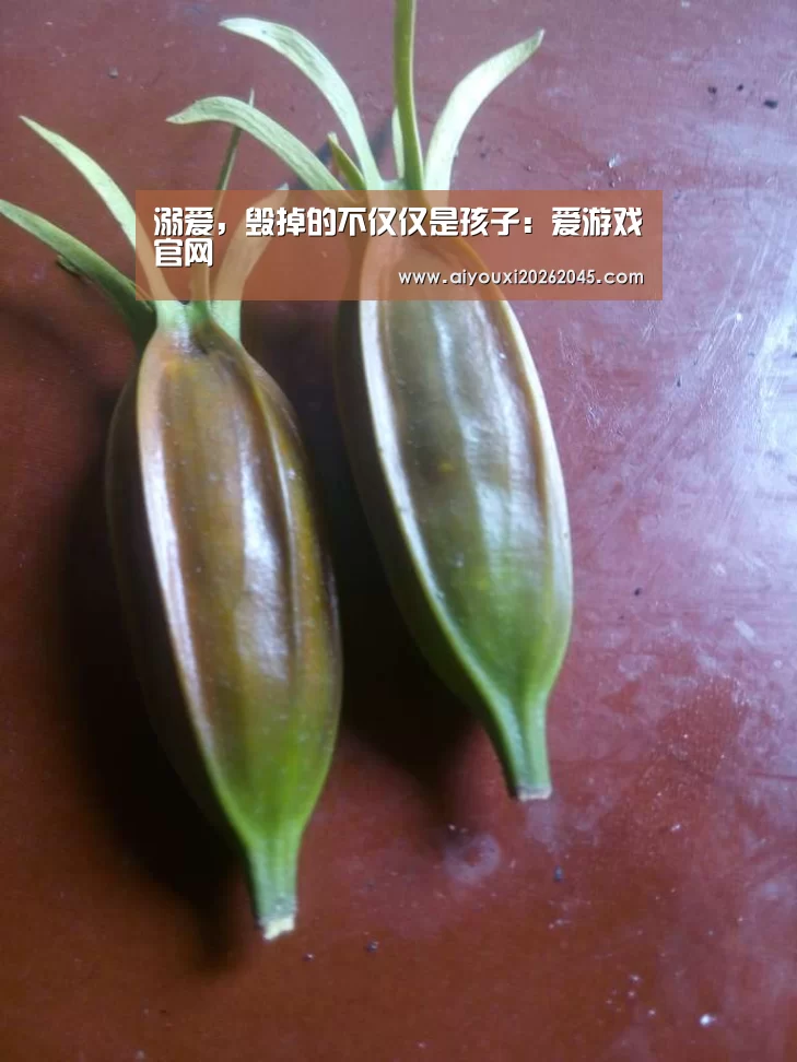 爱游戏官网