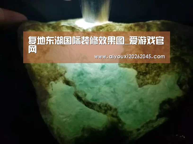 复地东湖国际装修效果图_爱游戏官网(图1) 爱游戏登录