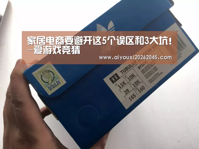 家居电商要避开这5个误区和3大坑!-爱游戏竞猜(图3) 爱游戏竞猜