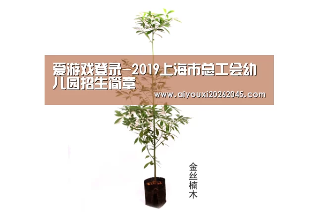 爱游戏登录-2019上海市总工会幼儿园招生简章(图2) 爱游戏竞猜