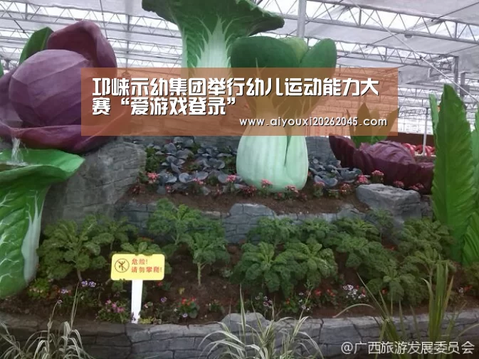 爱游戏官网