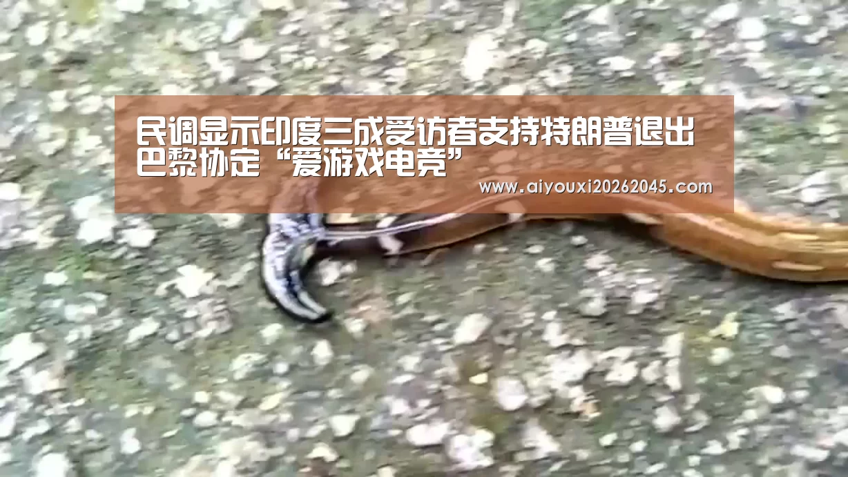 民调显示印度三成受访者支持特朗普退出巴黎协定“爱游戏电竞”(图1) 爱游戏官网
